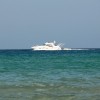 balazsh - 2011